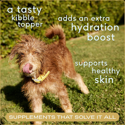 Native Pet Full-Body Wellness Duo: Turkey Bone Broth Powder for Dogs (192 Scoops) & Daily Dog Multivitamin (120 Scoops) - Daily 11-in-1 Multivitamin and Pet Gravy Food Topper for Picky Eaters