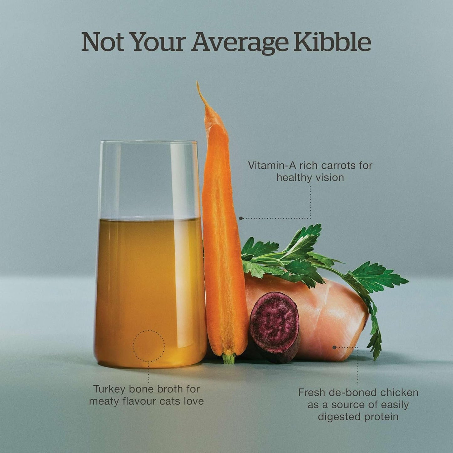 Now Fresh Good Gravy Grain-Free Dry Cat Food with Chicken, Healthy Kibble for Adults & Seniors Coated in Bone Broth – Just Add Water to Moisten, with Pumpkin for Sensitive Stomachs, 3 lb Bag