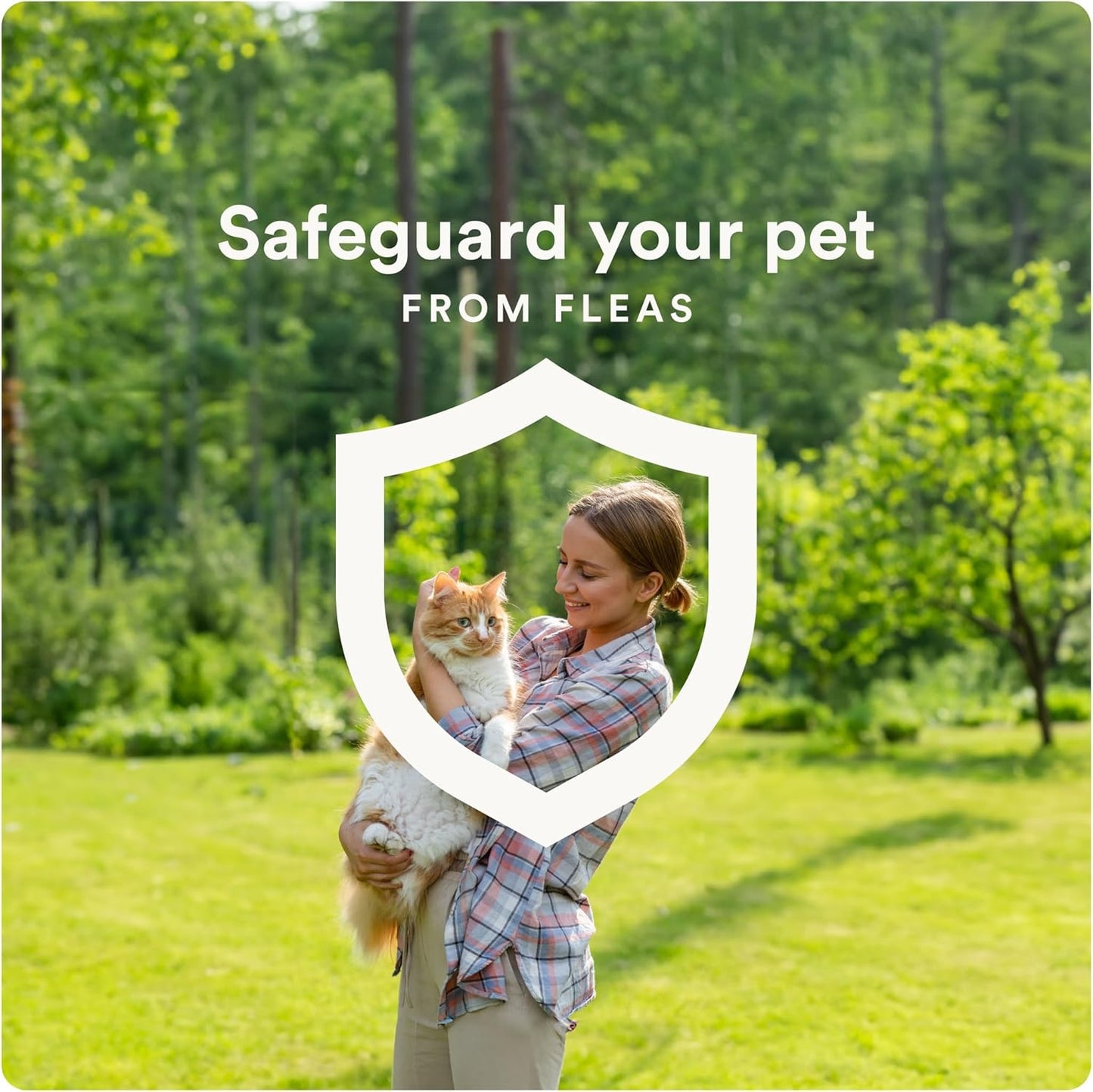 Advecta Plus Topical Large Cat Flea Treatment for Cats and Kittens, Flea Prevention and Control, Fast-Acting Waterproof Drops, 2-Month Supply