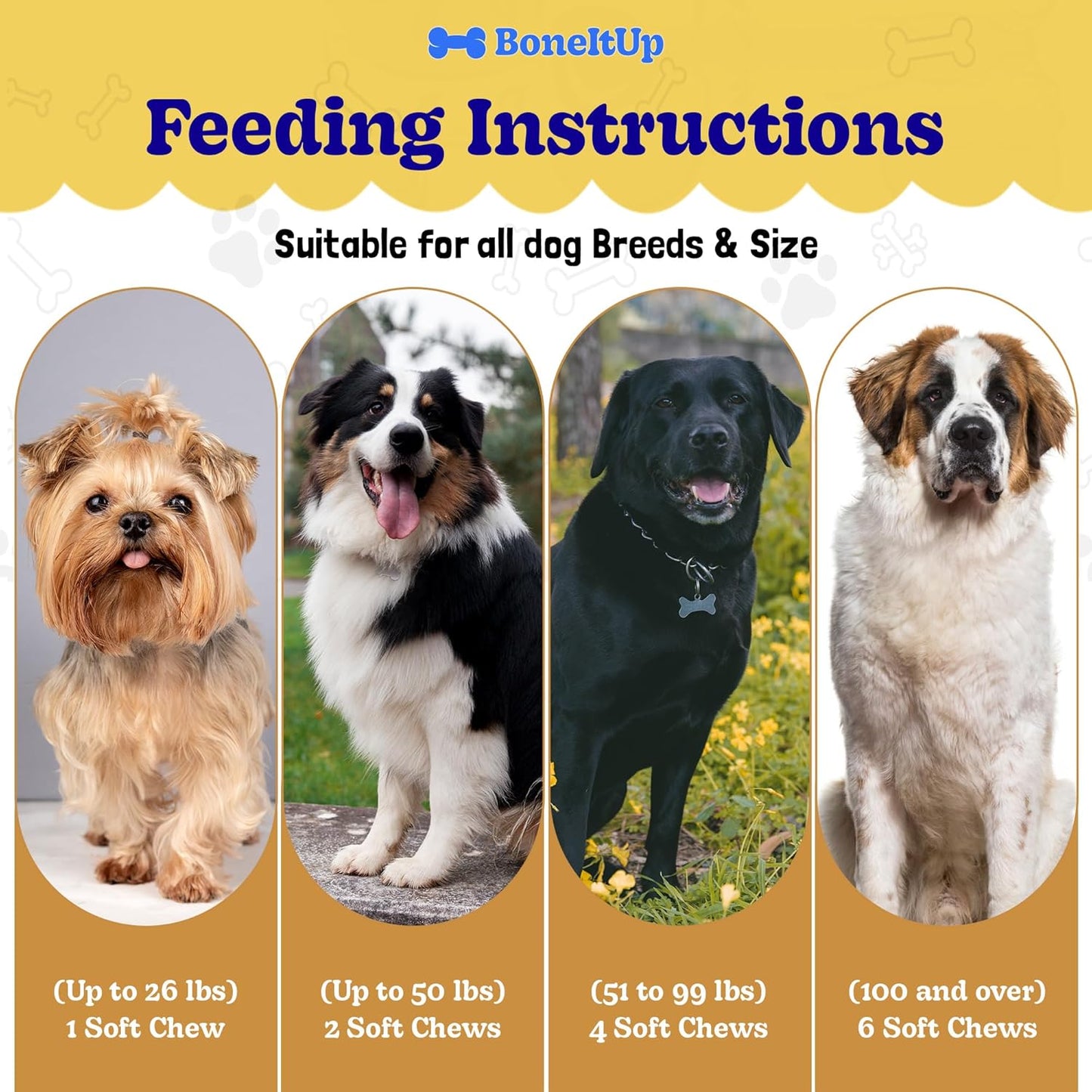 BoneItUp Soft Dog Joint Support Chews – Glucosamine, Chondroitin, MSM & Omega – Advanced Hip & Joint Supplement for Aging, Large & Overweight Dogs – Mobility & Bone Health Treats (90 Count)