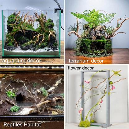 Azil Natural Aquarium Driftwood Root – Driftwood for Aquarium Decor, 170g (14″–16″), Fish Tanks, Terrariums, Aquascaping & Planted Tanks