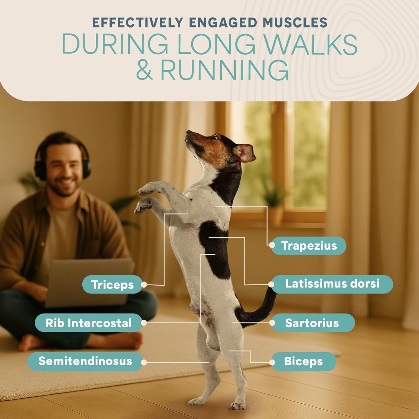 Lifepro PawRunner Dog Treadmill for Small & Medium Dogs up to 130lbs, Indoor Running Machine for Fitness, Compact & Durable Pacer Treadmill for Health and Exercise