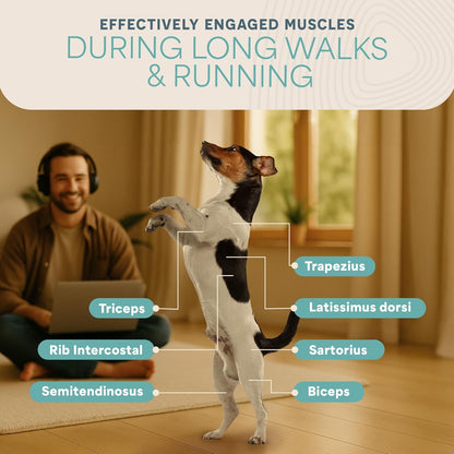 Lifepro PawRunner Dog Treadmill for Small & Medium Dogs up to 130lbs, Indoor Running Machine for Fitness, Compact & Durable Pacer Treadmill for Health and Exercise