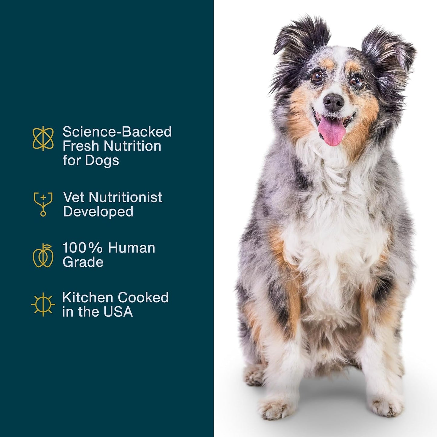 JustFoodForDogs Frozen Fresh Dog Food Sampler Human Grade Variety Box, Complete Meal or Topper, 18 oz (Pack of 7)