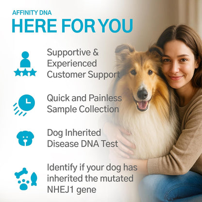 Dog Collie Eye Anomaly Choroidal Hypoplasia (CEA/CH) DNA Test | Home Sample Collection Kit for 1 Dog | Results in 7 Working Days | A Complete Kit with No Extra Fees