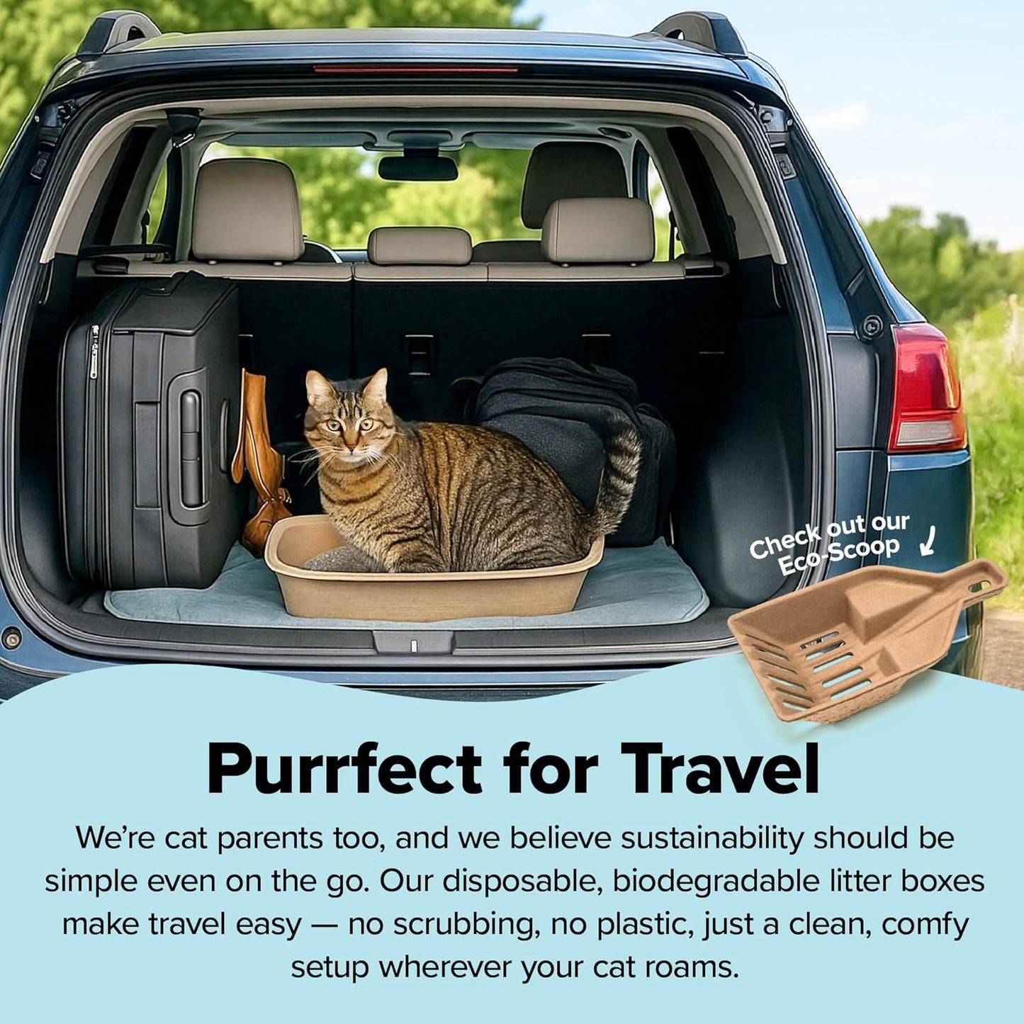 Kitty Sift Disposable Cat Litter Box Large, 6 Count, Durable Portable for Travel and Home, Eco-Friendly Disposable Litter Box Controls Odor for Cats and Kittens