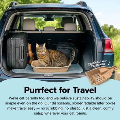 Kitty Sift Disposable Cat Litter Box Large, 6 Count, Durable Portable for Travel and Home, Eco-Friendly Disposable Litter Box Controls Odor for Cats and Kittens