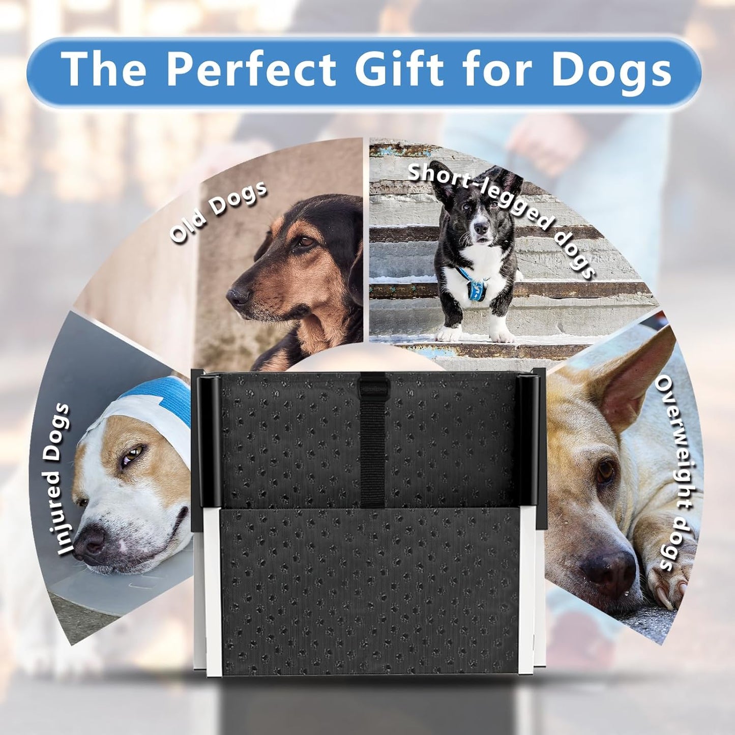 Dog Stairs for Large Dogs - 5 Step Wide 16in High 34in Foldable Dog Ramp for Car Non-Slip Surface Support up to 230lbs - Suitable for SUV,Truck, Sofas, Bed