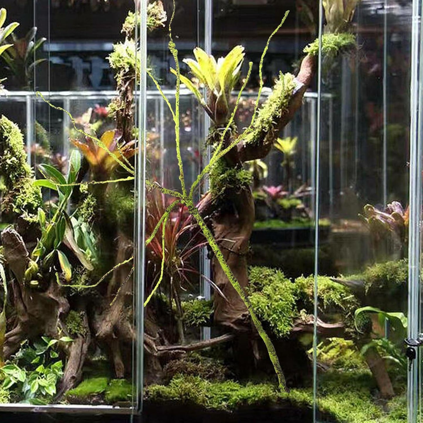 Fake Plant Reptile Vine Terrarium Accessory Sturdy Decorative Faux Rattan Climbing Habitat Decor for Reptiles and Amphibians