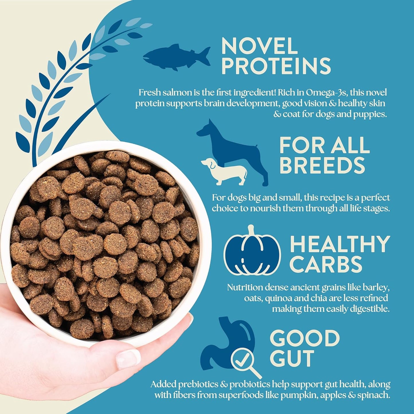 Earthborn Holistic Unrefined Smoked Salmon Recipe with Ancient Grains & Superfoods Dry Food for Dogs and Puppies (4 lb. Bag)