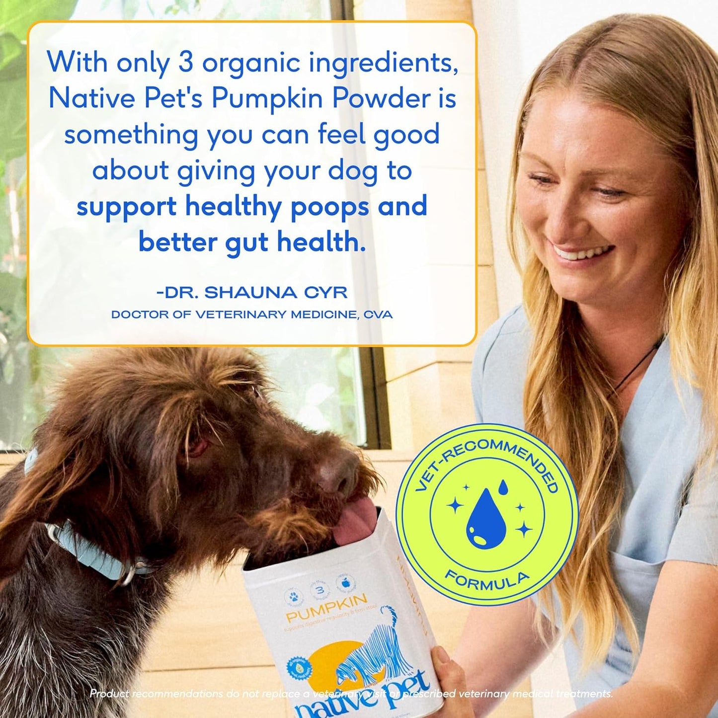 Native Pet Organic Powder Pumpkin Puree Dog Food Toppers, Rich in Fiber Supplement Powder Helps with Digestion, Nutrient Absorption, Diarrhea, Constipation & Upset Stomach, 8 oz (30 Scoops)