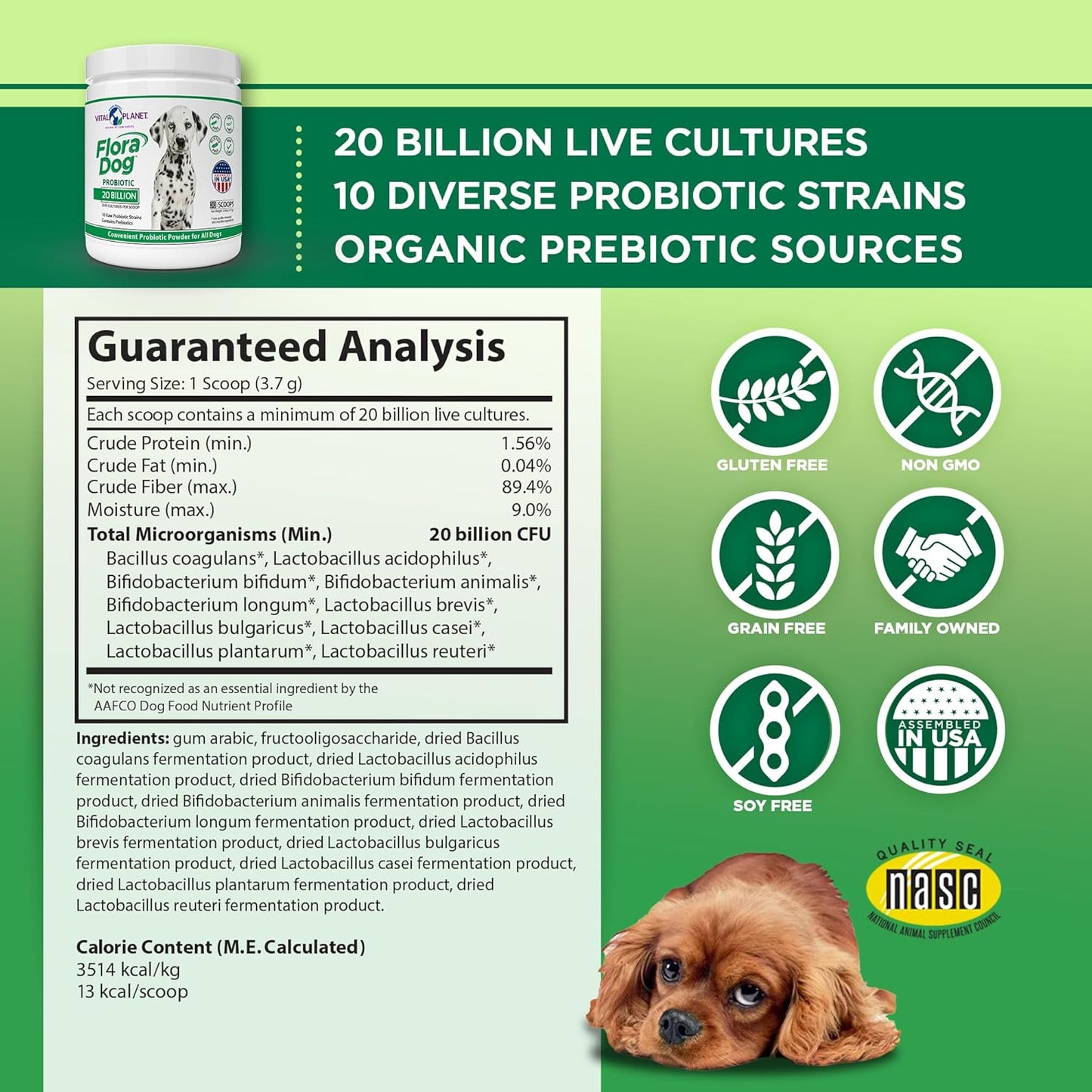 Vital Planet - Flora Dog Probiotic Powder Supplement with 20 Billion Cultures and 10 Strains, High Potency Immune and Digestive Support Probiotics for Dogs, 3.92 oz., 111 Grams, 30 Servings