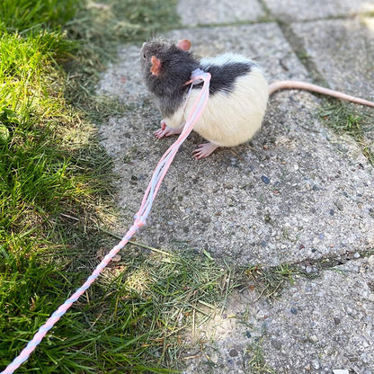 3 Pack Adjustable Hamster Leash Harness for Chinchilla Rabbit Hamster Guinea Pig Squirrel Small Animal