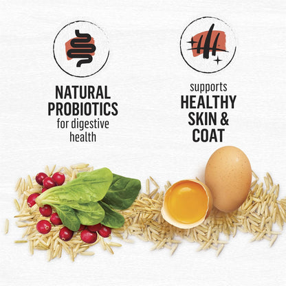 Purina Beyond Natural Wholesome Ingredients for Whole Health Dry Cat Food Salmon and Whole Brown Rice Recipe - 6 lb. Bag