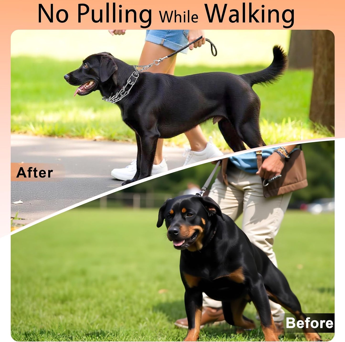 Stainless Steel Dog Training Collar, Quick Release Buckle, Adjustable Collar for Large Medium Small Dogs (Silver, XL Neck Girth 14.5"-21.5")