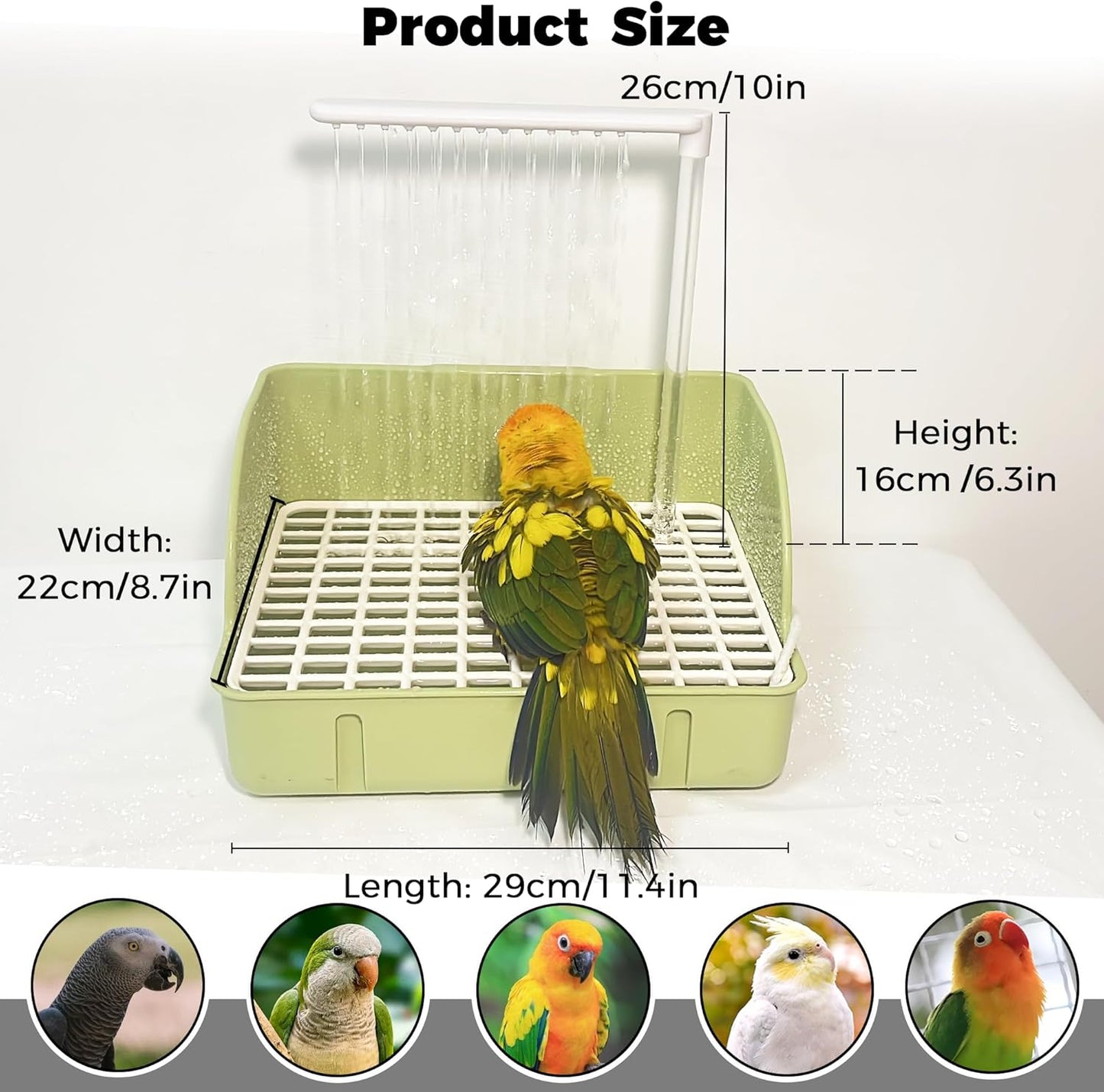 Automatic Parakeet Bird Bath with Pump, Large Bird Shower Fountain Indoor Bathtub with Running Water, Parrot Bath Tub Faucet for Pet Birds, African Grey, Cockatiel, Conure, Budgie, Lovebird
