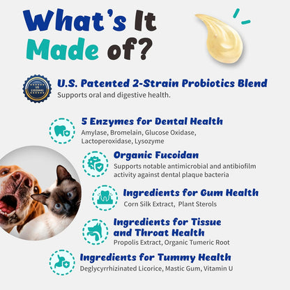 Dental-Tummy Toothpaste & Dental Rinse for Cats and Dogs (110ml) with Patented 2-Strain Probiotic, 5 Enzymes, Organic Fucoidan, Vitamin U, Mastic Gum