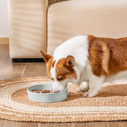 vancasso Slow Feeder Dog Bowl, 1.5 Cups Ceramic Dog Food Dish for Fast Eaters Small Breed, Puzzle Bowl for Small Dogs and Cats, Grayish Cyan