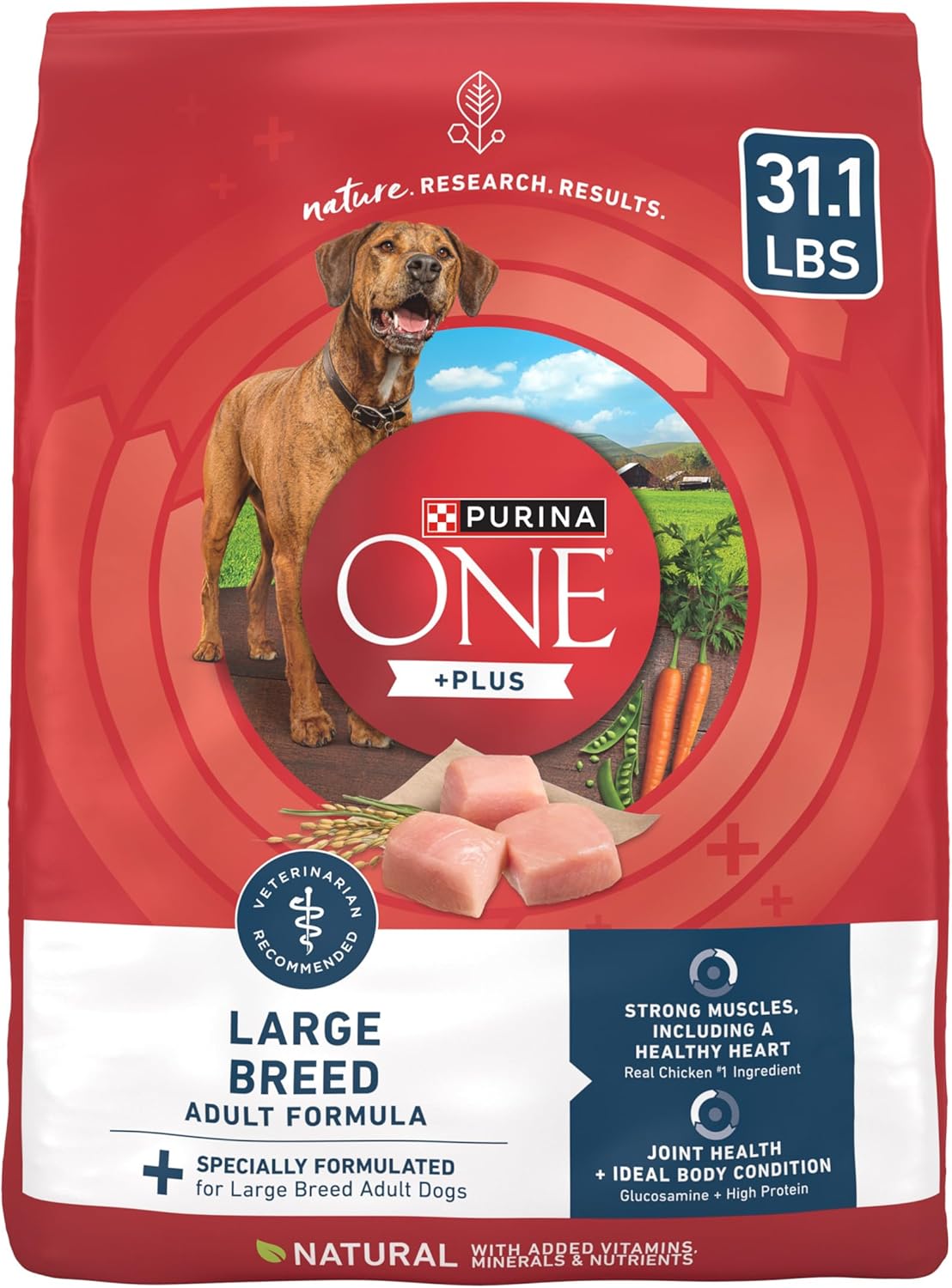 Purina One +Plus Dry Dog Food for Large Adult Dogs High Protein, Real Chicken - 31.1 lb Bag