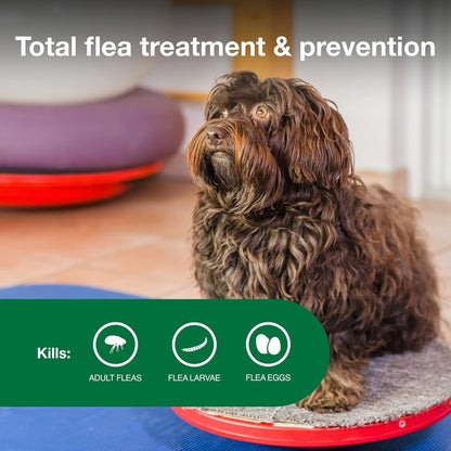 Bundle of Advantage II Small Dogs 3-10 lbs. | 4-Month Supply + Pet Protect Daily Multivitamin for Dogs | 60 Chews with Vitamins