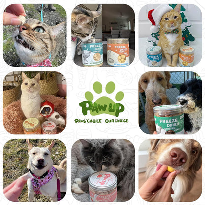 PAWUP Freeze Dried Chicken Liver Pet Treats, High Protein Freeze-Dried Pet Food for Dogs, Cats, Fresh Ingredient Snacks, 4.6 oz, Rawhide Free&Grain Free