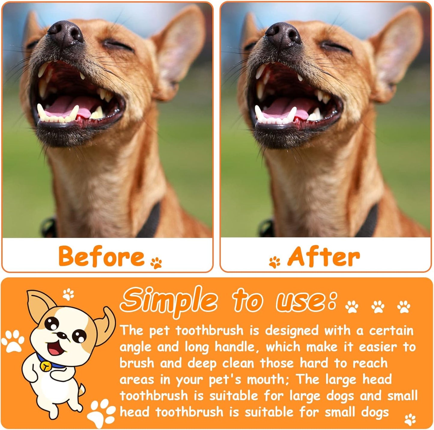 Honeydak Dog Toothbrush Bulk Dual Headed Dental Brushes Dogs Tooth Brushing Kit Long Handle Pet Tooth Brush for Puppy Large Small Cats and Most Pets Teeth Cleaning Dental Supplies(70 Pcs,Colorful)