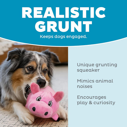 Outward Hound Fattiez Pig Plush Squeaky Dog Toy, Small