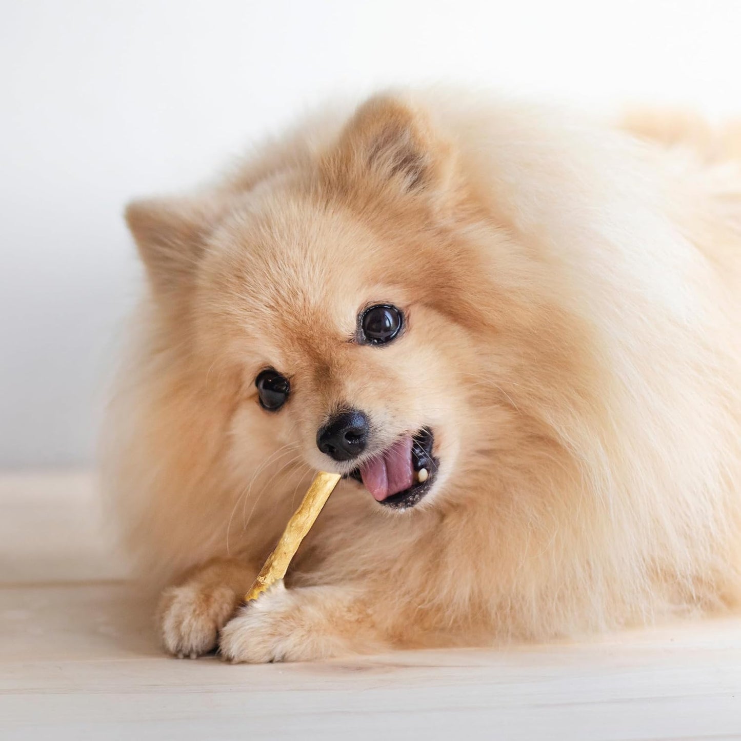 Fieldcrest Farms Nothin' to Hide Twist Stix, Beef Flavor, Easily Digestible, Supports Skin, Coat, Joints & Muscles, for Moderate Chewers Under 15lbs, 50 Pieces