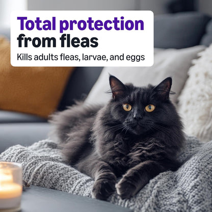 Amazon Basics PreventativeTopical Flea Treatment for Large Cats (Over 9 Pounds), 4 Count