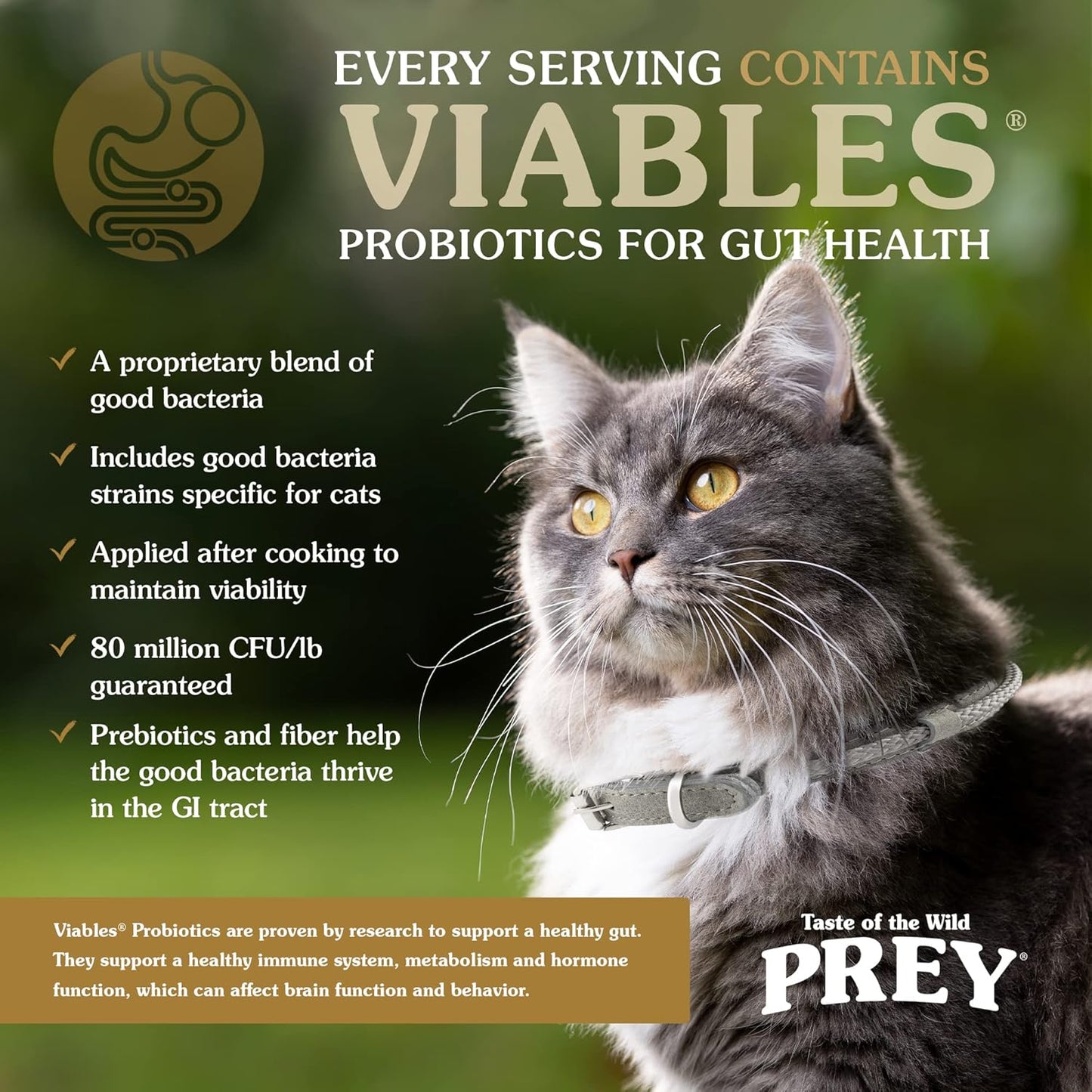 Taste of the Wild PREY Real Meat High Protein Turkey Limited Ingredient Dry Cat Food Grain-Free Recipe Made with Real Cage-Free Turkey, and Includes Probiotics for All Life Stages 6lb