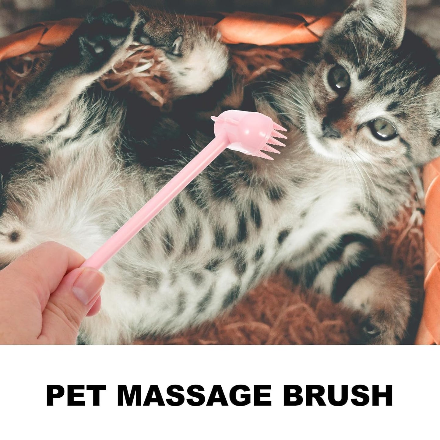 Cat Grooming Brush Pet Massage Brush for Cats and Dogs Hair Removal Soft Compact Rose Grooming Tool for Indoor Use