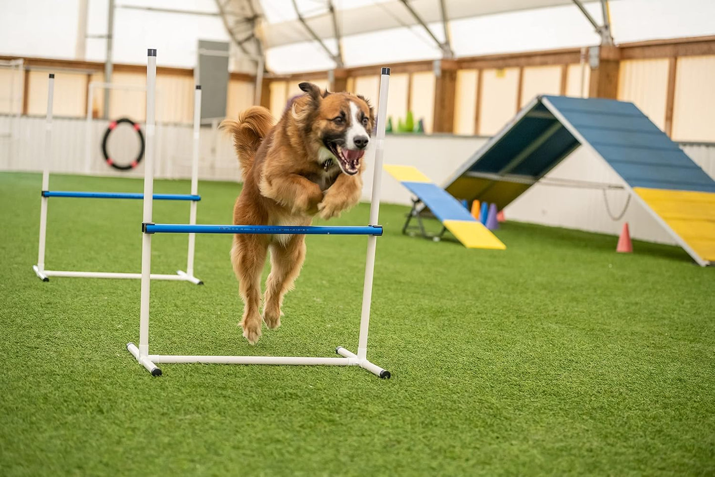 Better Sporting Dogs Agility Course Backyard Set - 7pc Indoor and Outdoor Agility Training Equipment for Dogs - 3 Jumps - 2 Tunnels with Sandbags - Weave Poles for Dog Obstacle Training