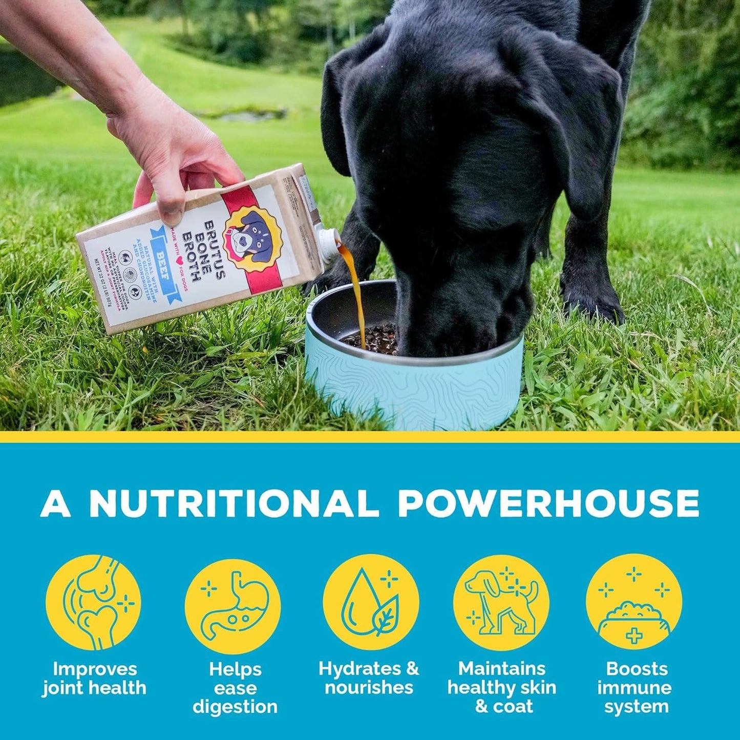 Brutus Beef Bone Broth for Dogs - All Natural Dog Bone Broth with Chondroitin Glucosamine & Turmeric -Human Grade Dog Food Toppers for Picky Eaters & Dry Food -Tasty & Nutritious