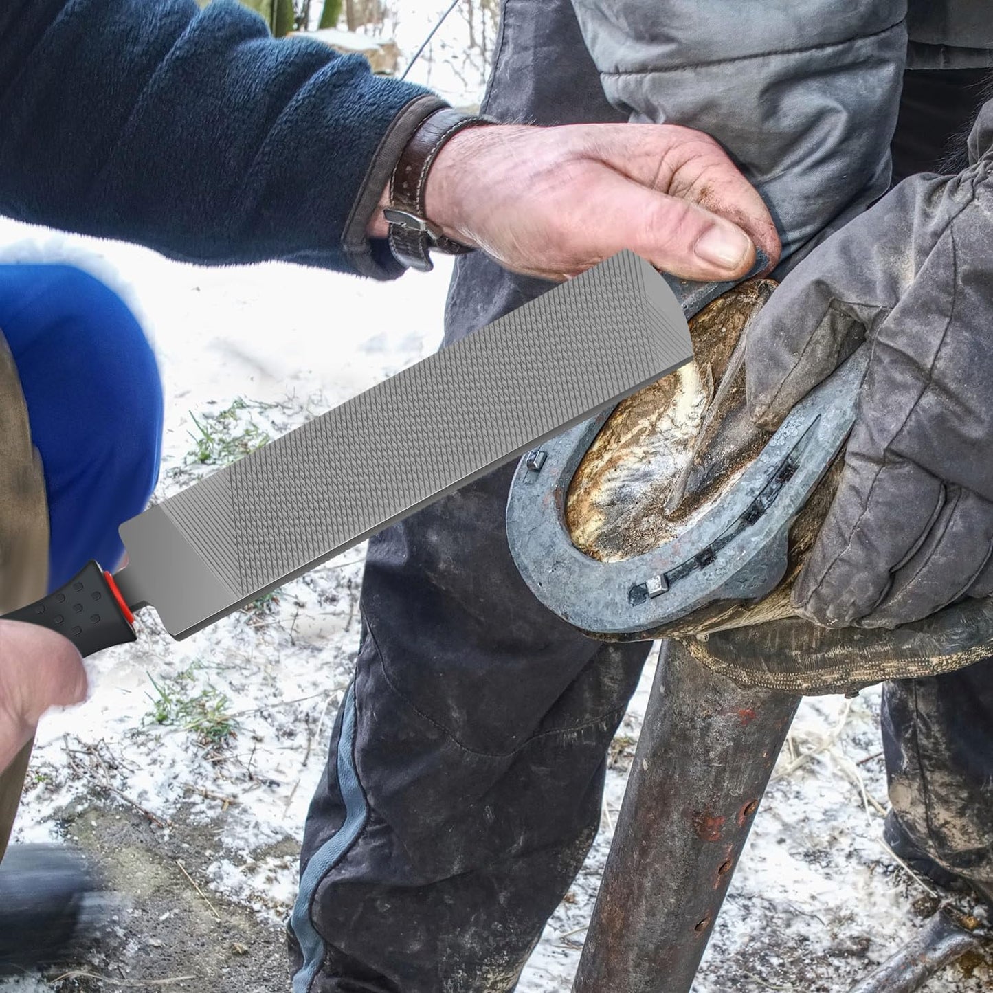 Gisafai 2 Pcs 18 and 12 Inch Rasps for Shoeing Horses with Handle Trimming File Carbon Steel Farrier Tools for Repair Horse Hooves Goat Hooves Cow Donkey Pig Animal Repairing Wood Working Supplies