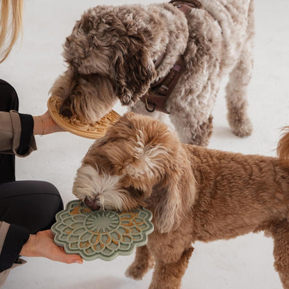 Enrichment Lick Mat: Sage Green Blooming Blossom - Grooved Silicone Dog Feeding Dish, Spread On Food Or Treats, Pet Soothing, Suction Back