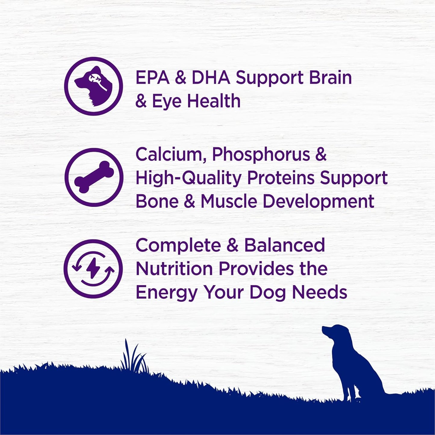 Wellness Natural Pet Food Complete Health Natural Dry Large Breed Puppy Food, Chicken, Salmon & Rice, 30-Pound Bag