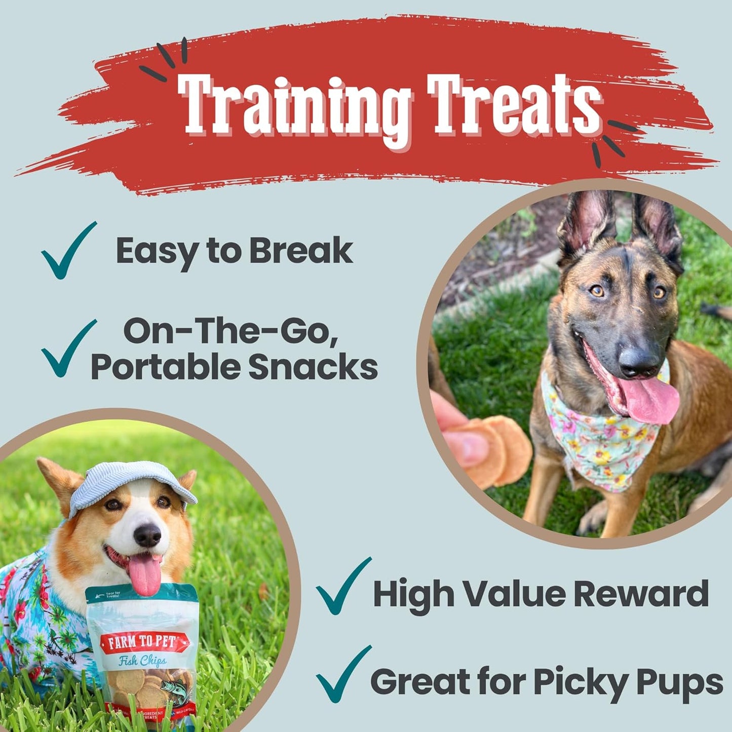 Farm To Pet - Dog Training Treats - 12 oz Fish Chips, Single Ingredient, Lean, All Natural, Healthy Treats for Small, Medium, Large Dog Breeds, & Puppies, Made in USA (12oz)