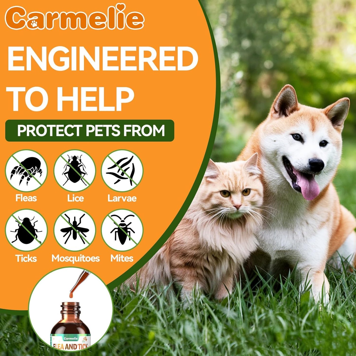 Oral Flea and Tick Support for Dogs and Cats, Natural Dog Flea and Tick Defense, Cat Flea Drops Supplements with Vitamin for Pets - All Breeds and Ages - Bacon