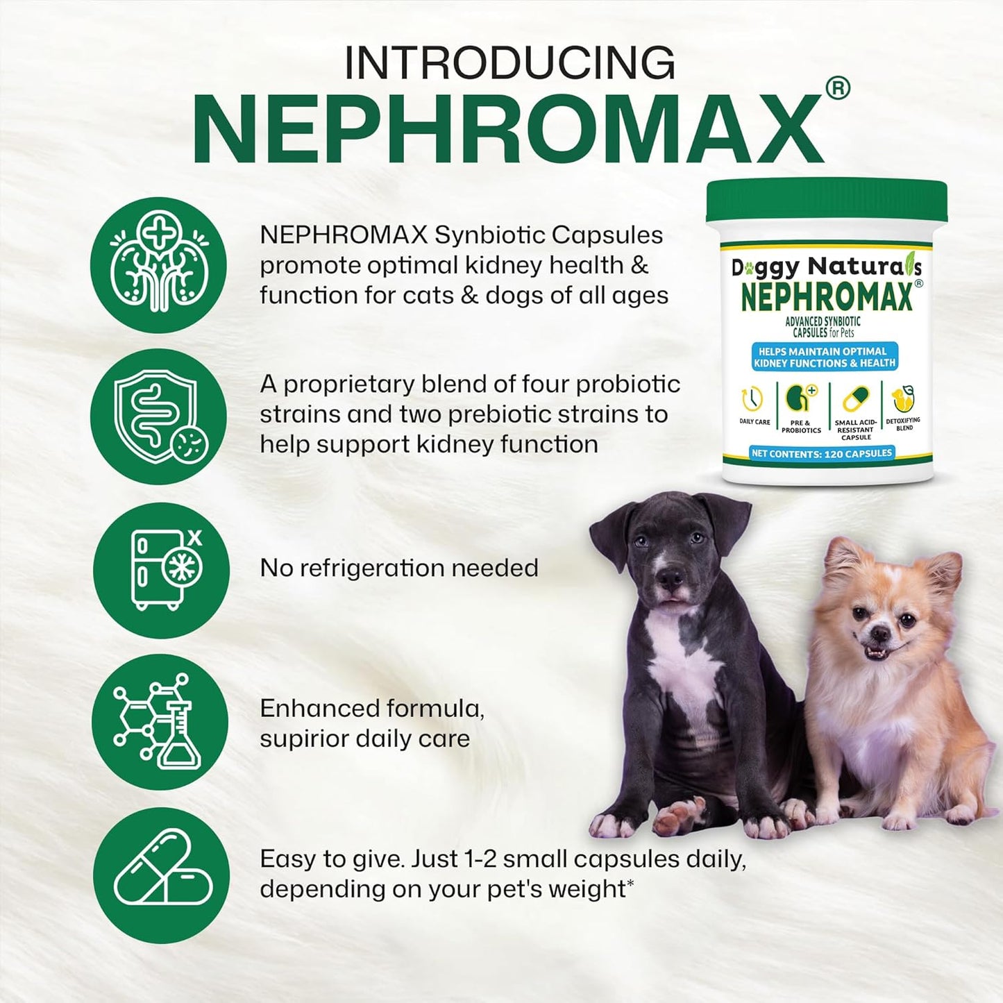 NEPHROMAX™ Synbiotic Capsules Dogs Cats (240 Caps)- Kidney Support Supplement for Cats & Dogs, Probiotics & Prebiotics for Digestive Health, Small & Easy-to-Swallow Capsules Made in The USA