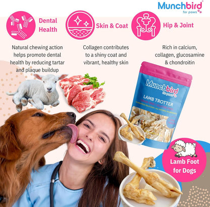 Munchbird Lamb Trotter Dehydrated Dog Treats Natural Glucosamine for Dogs Chondroitin for HIPS and Joints Lean Hypoallergenic Protein Rawhide Free. Alternative to Duck Feet Lamb Ears (4.5 oz)