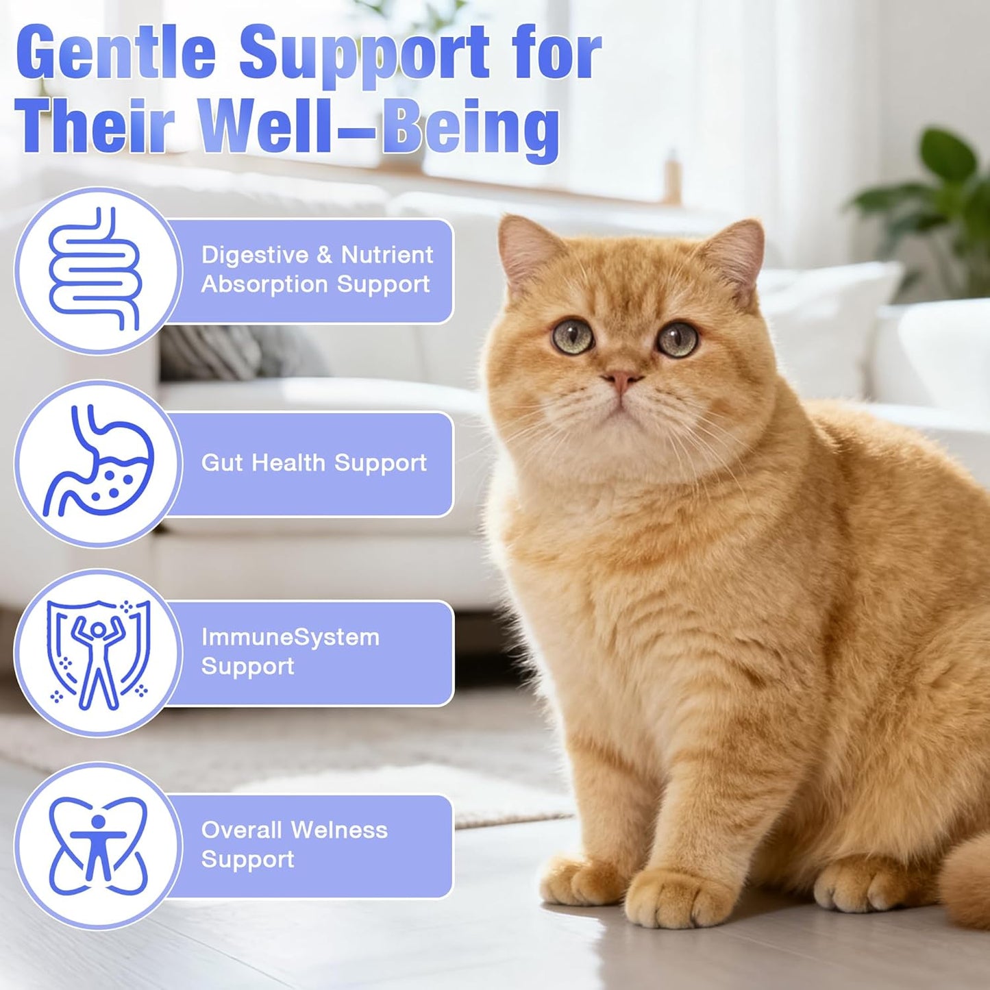 Cat Probiotics for Digestive Support - 60ml Probiotic for Cats with Digestive Enzymes & Prebiotics Supports Gut Health, Immune System