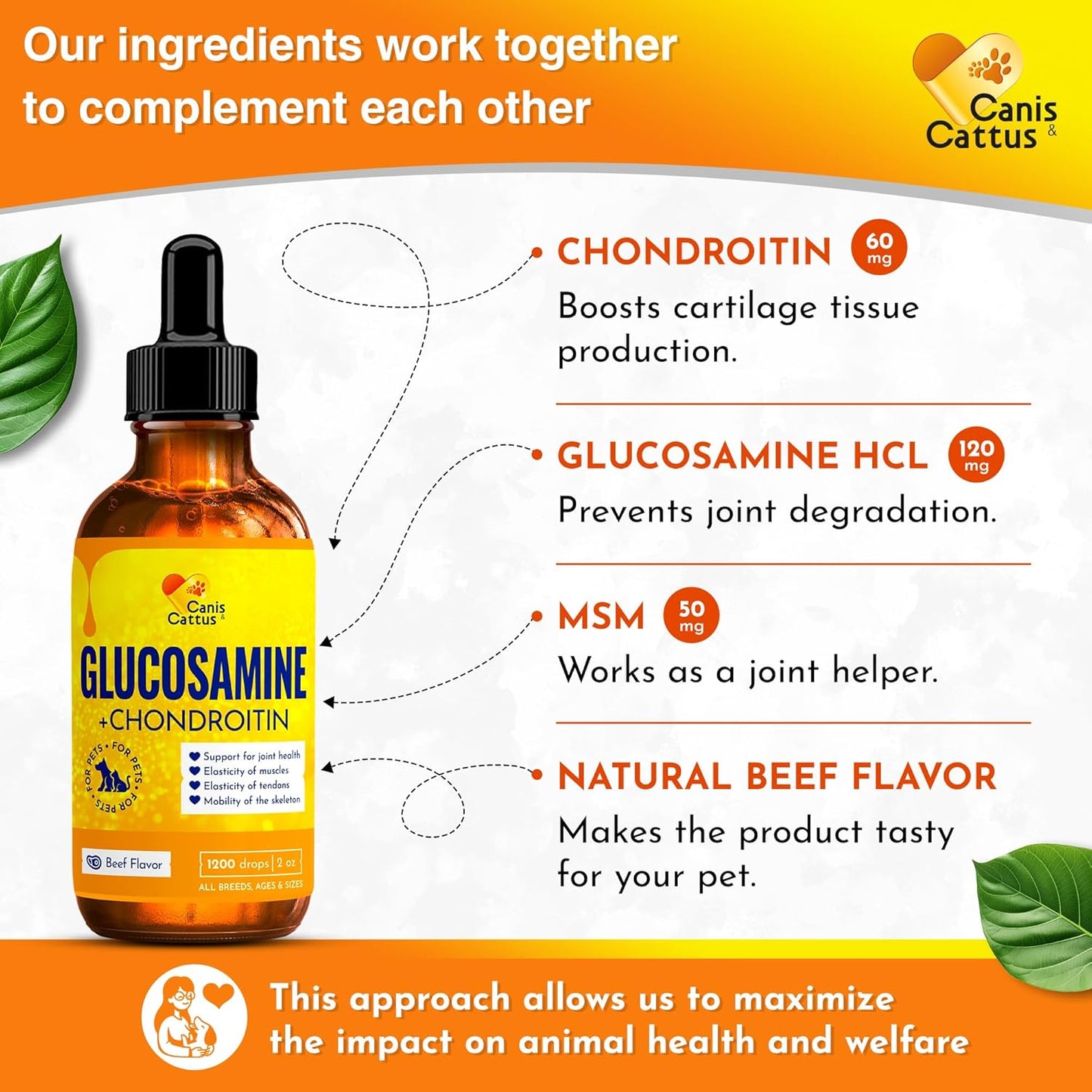 Canis&Cattus Liquid Glucosamine Dogs and Cats – Joint Supplement with MSM & Chondroitin – Mobility & Hip Support for Pets – Beef Flavor – 2oz