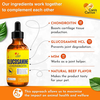 Canis&Cattus Liquid Glucosamine Dogs and Cats – Joint Supplement with MSM & Chondroitin – Mobility & Hip Support for Pets – Beef Flavor – 2oz