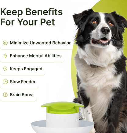 Dog Slow Feeder Bowl – Interactive Puzzle Feeder for Dogs – Fun Eating Game to Slow Down Fast Eaters – Non-Slip Design – Food & Water Bowl for Small, Medium & Large Dogs – Green