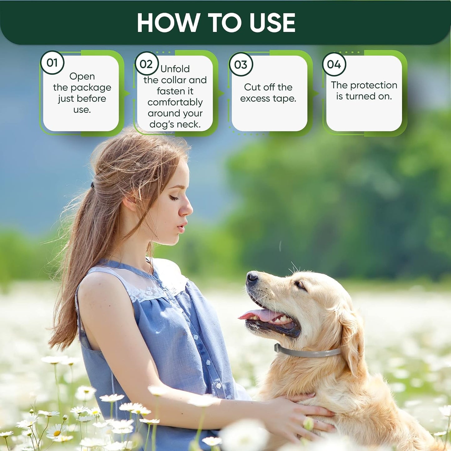 4 Pack Flea and Tick Collar for Dogs, 8-Month Protection, Flea Tick Prevention for Dogs (Gray Collar, 4 Pack)