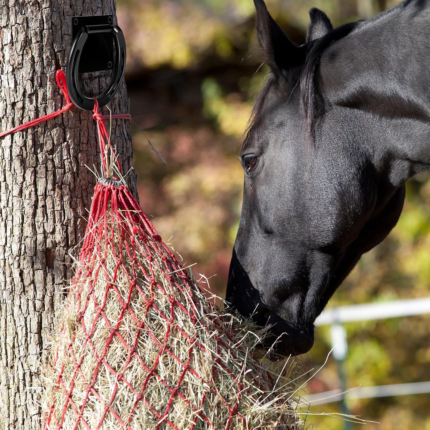 Zhengmy 4 Set Tie Ring for Horses, Heavy-Duty Solid Steel, with Expansion Screws, 3 x 3 Inch, Horseshoe Cross Ties Down, Tack Barn Stable Supplies for Horse, Black