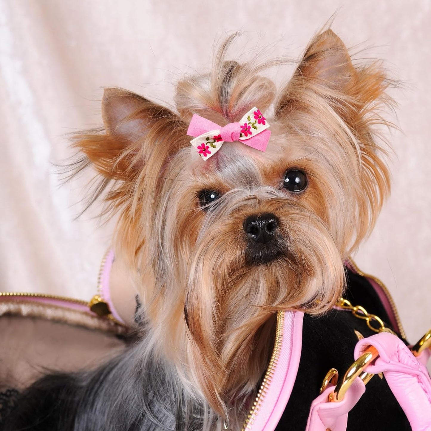 20pc Light Pink Small Dog Hair Bows with Rubber Bands, Flower Ball Bowknot Top Knot for Yorkie Hair Accessories