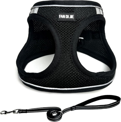 Dog Harness and Leash Set, No Pull Soft Mesh Pet Harness -in Puppy Pet Vest Harnesses for XS,Small,Medium Dogs and Cats Black-M