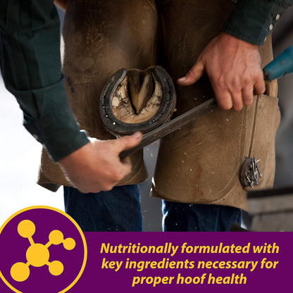 Horse Health Shur Hoof Hoof Supplement for Horses, Helps Grow Strong, Tough Hooves, 2.5 Pound, 40 Day Supply