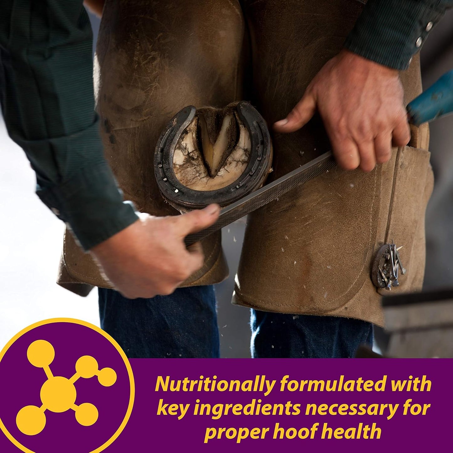 Horse Health Shur Hoof Hoof Supplement for Horses, Helps Grow Strong, Tough Hooves, 2.5 Pound, 40 Day Supply